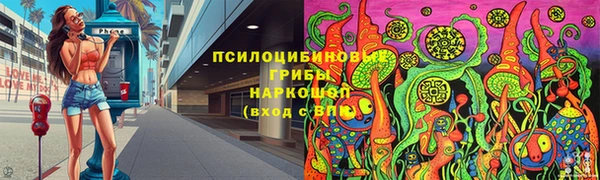 гидра Армянск