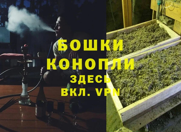 гидра Горняк